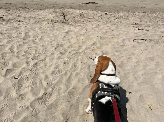 Roscoe\'s Paradise